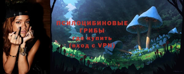 эйфоретик Белокуриха