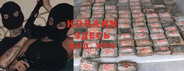 эйфоретик Белокуриха