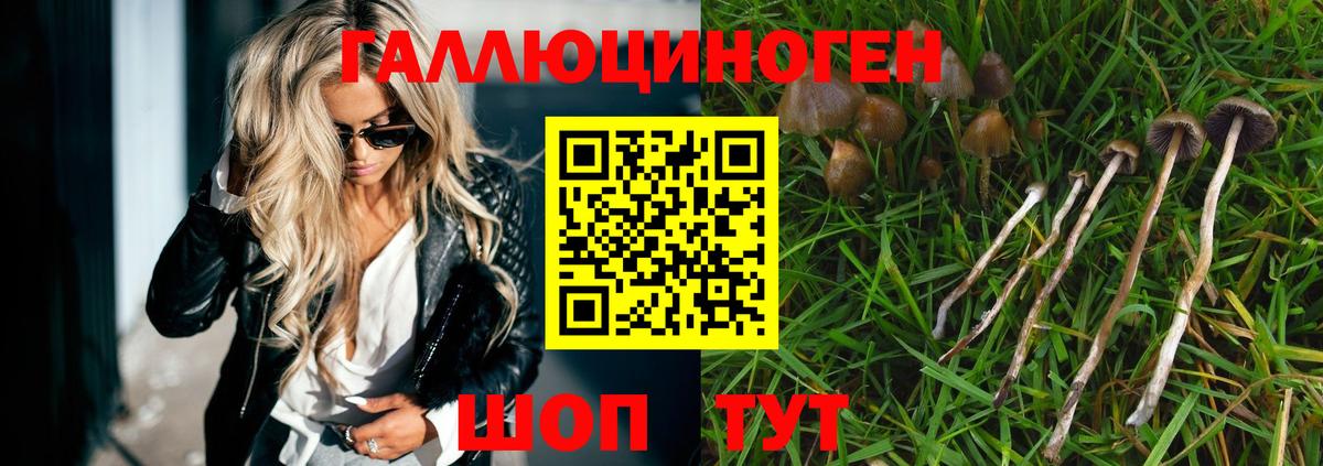 Метамфетамин Минеральные Воды